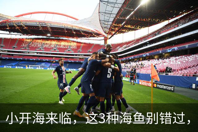 小开海来临，这3种海鱼别错过，无法人工养殖，价格便宜味道好！