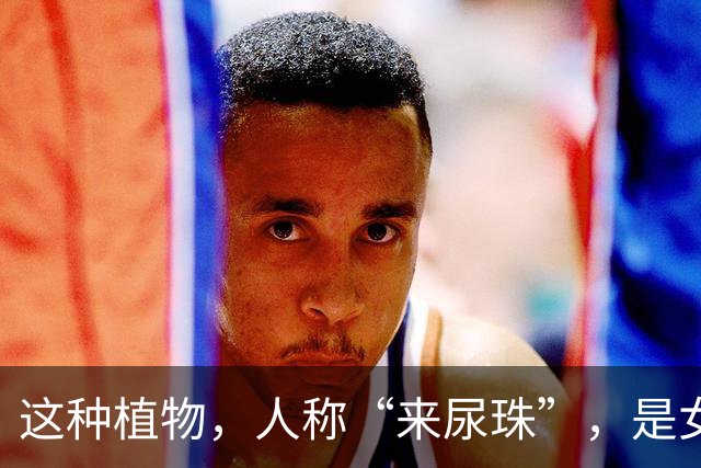 这种植物，人称“来尿珠”，是女生的最爱，现卖30元一斤